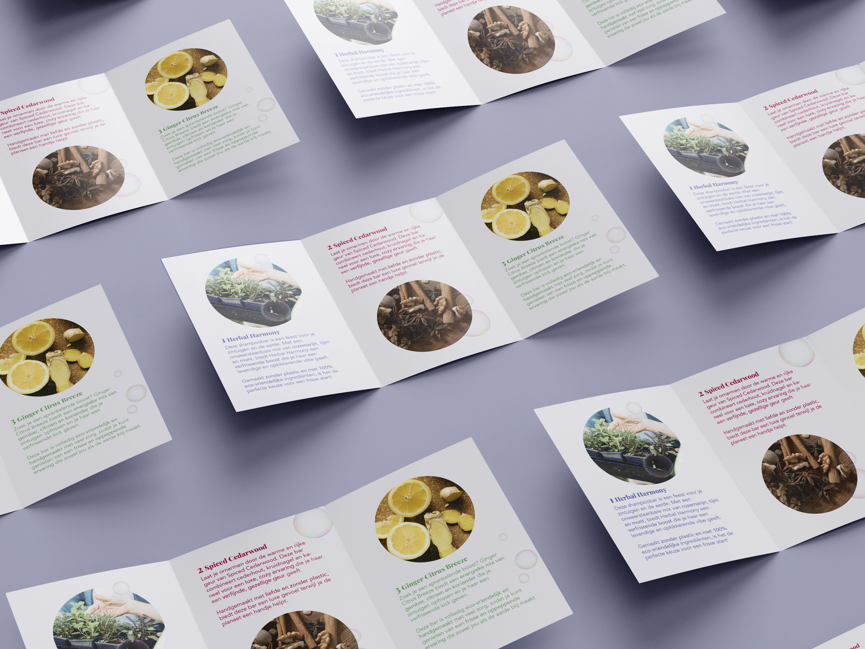 Rein folder binnen
